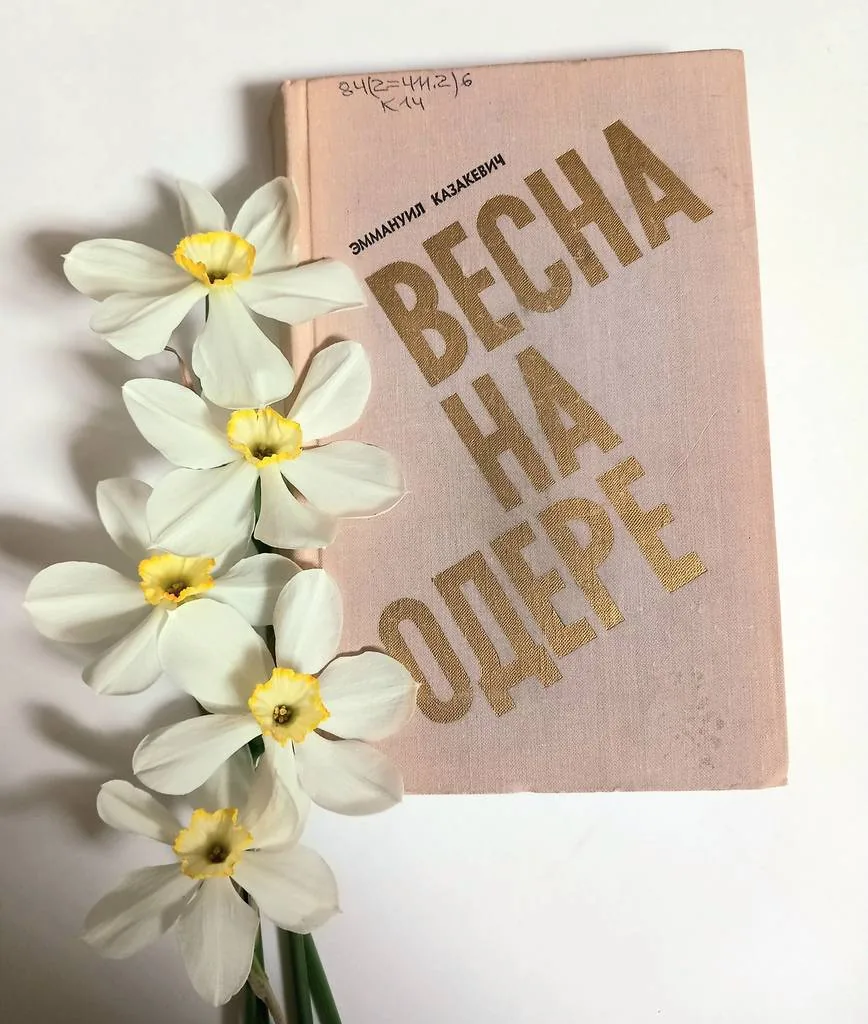 Год лейтенантской прозы Эммануил Казакевич «Весна на Одере»