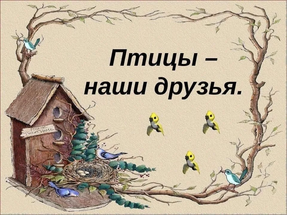 Познавательный час “Птицы – наши друзья”