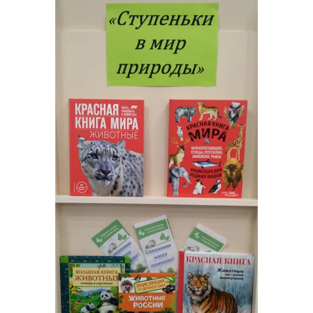 Информ- релиз «Ступеньки в мир природы»