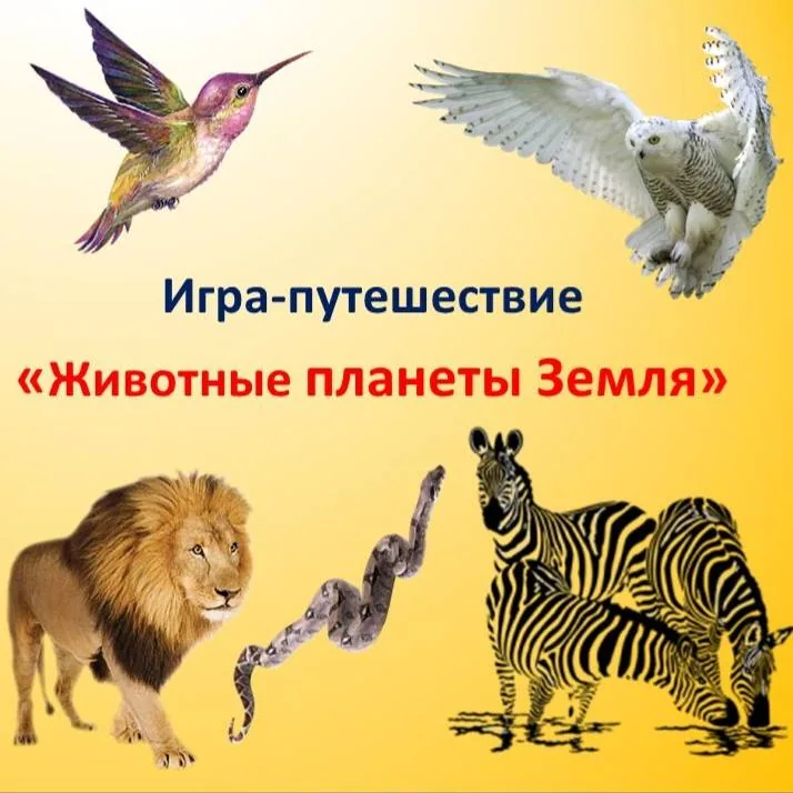 Презентация ко Дню защиты животных