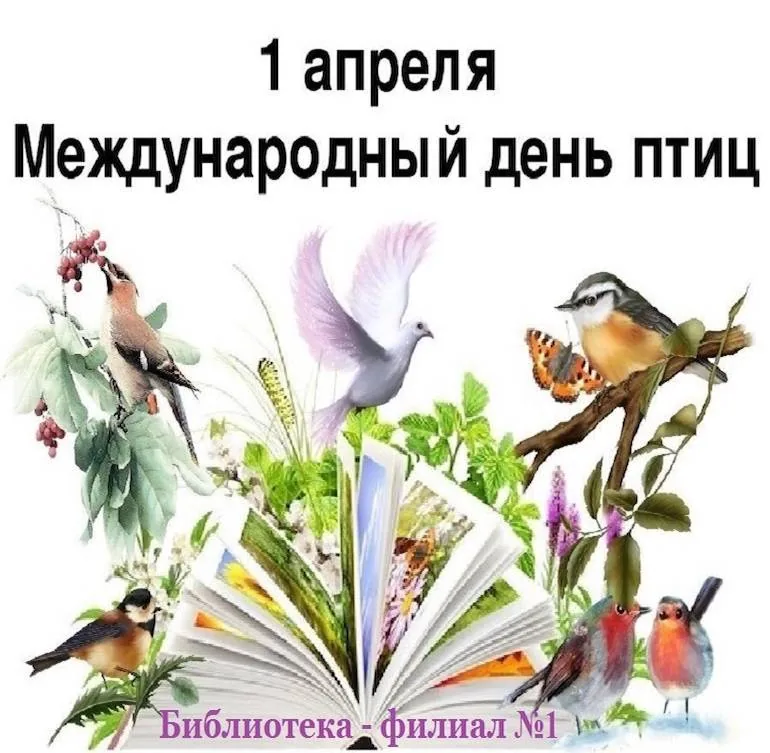 «Удивительный мир птиц»